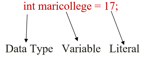 Java Identifiers and Literals (With Examples)